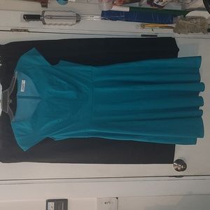Nwot Vintage style dress